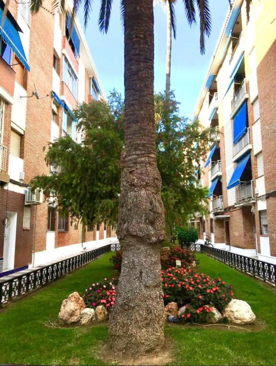 Privat bolig 3 - 3 Planta Sin Ascensor En Piso Compartido No Es Piso Entero!